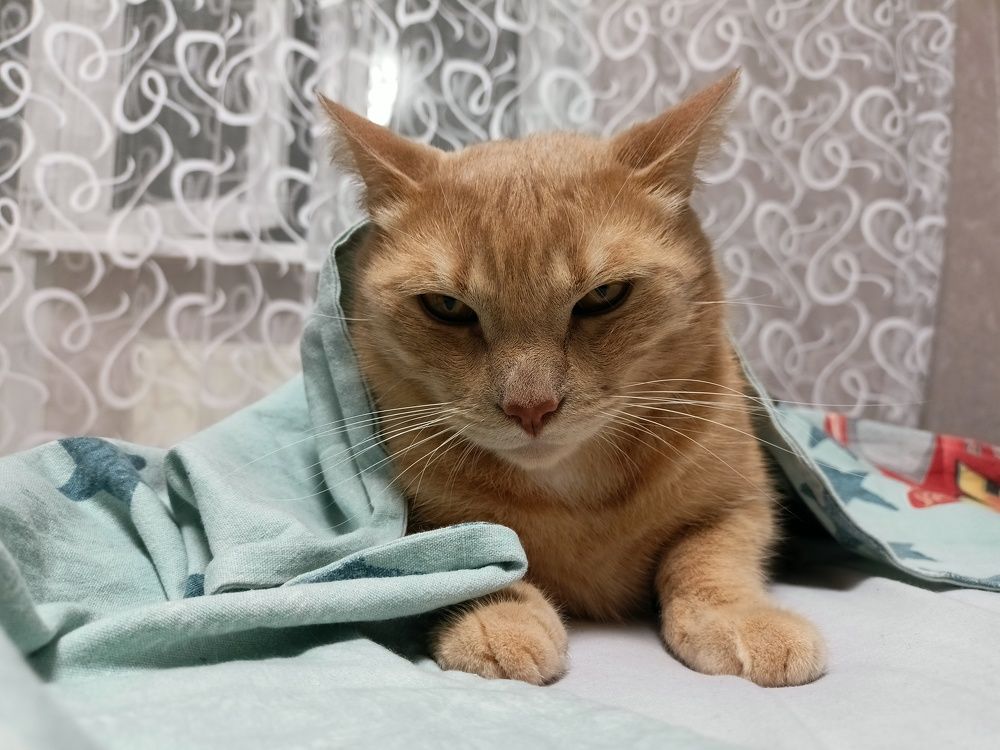 Photograph by Александра Пугачева