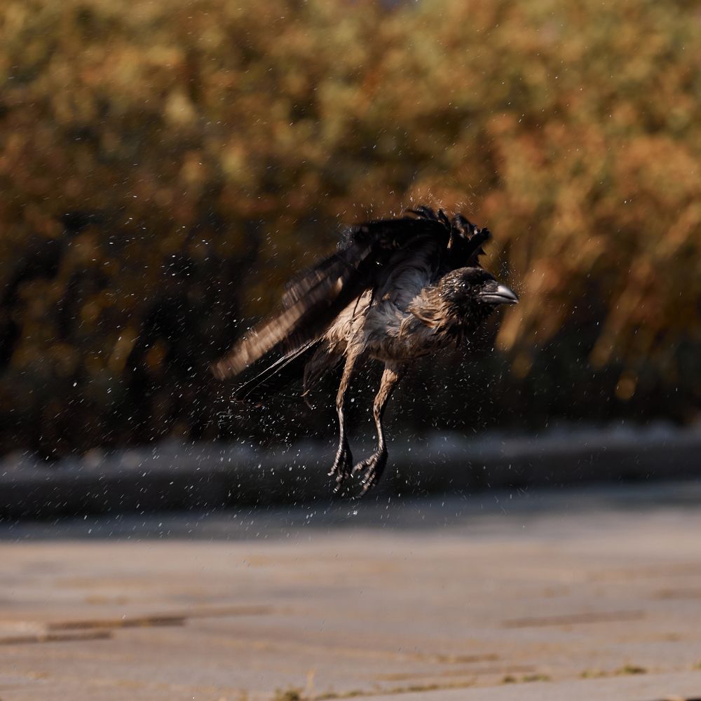 Photograph by Владислав Данилов