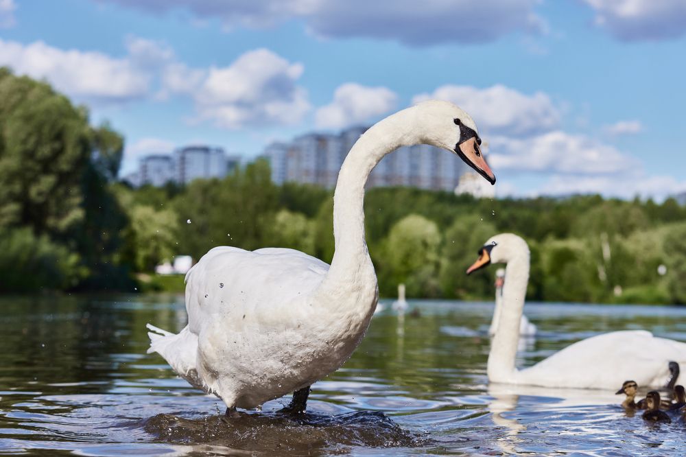 Photograph by Владислав Данилов