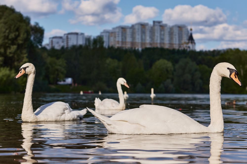 Photograph by Владислав Данилов