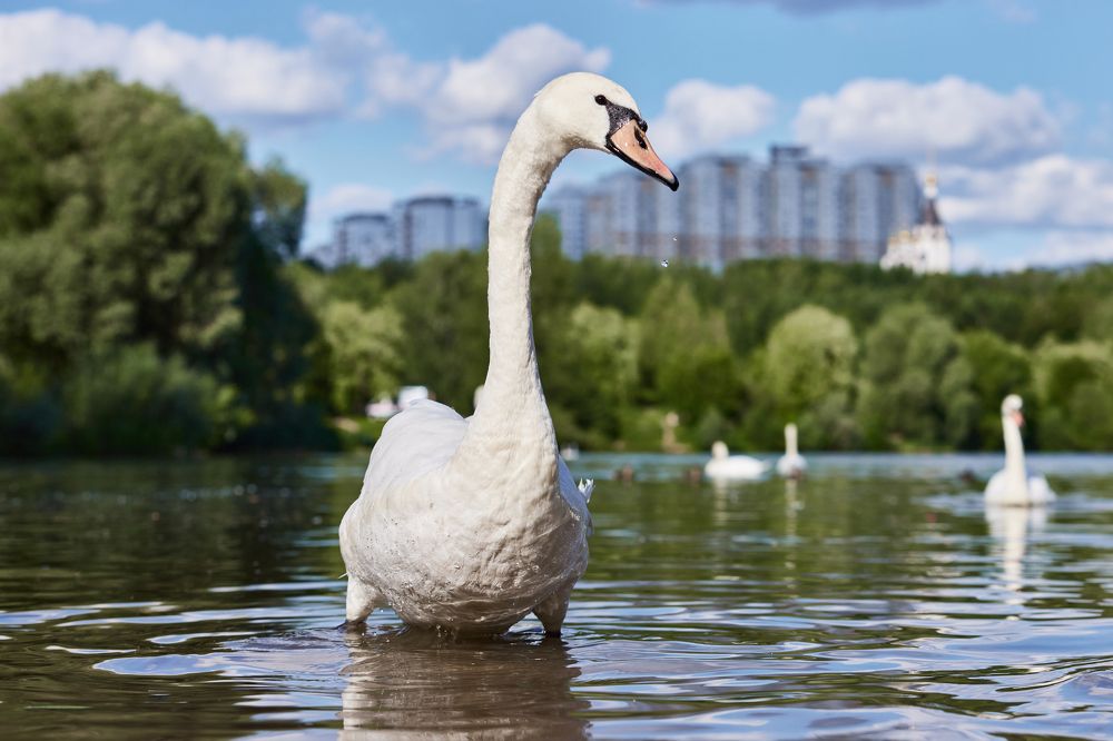 Photograph by Владислав Данилов