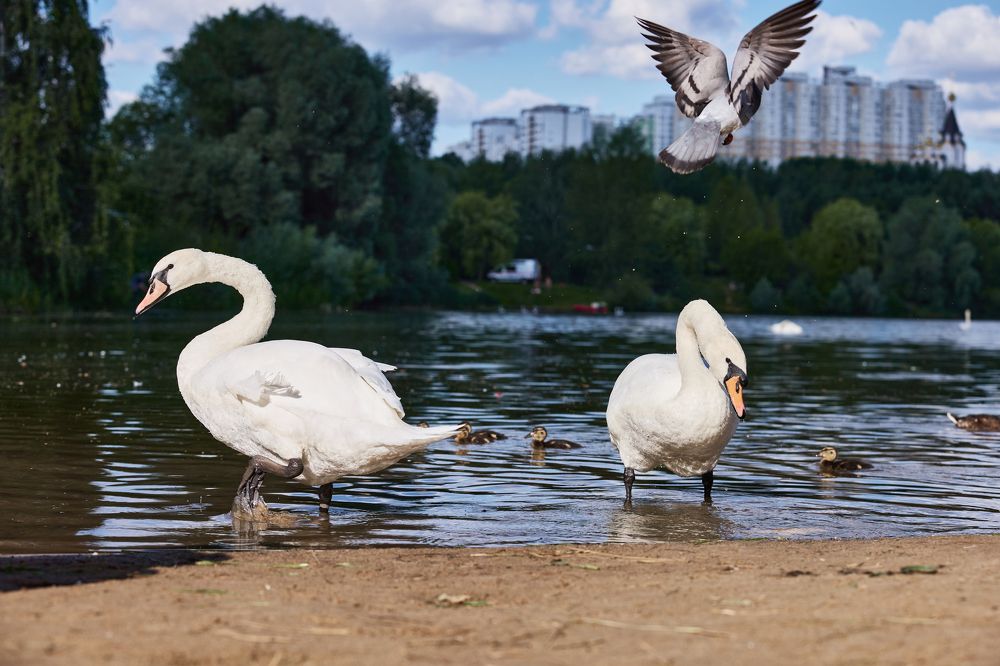 Photograph by Владислав Данилов