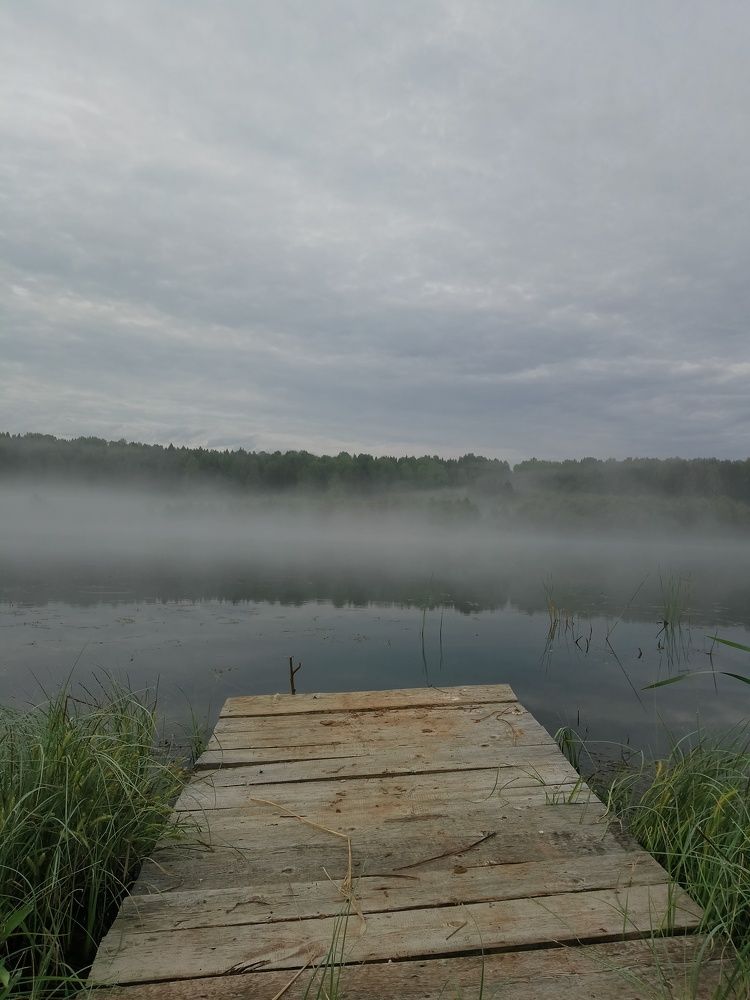 Photo #10814784