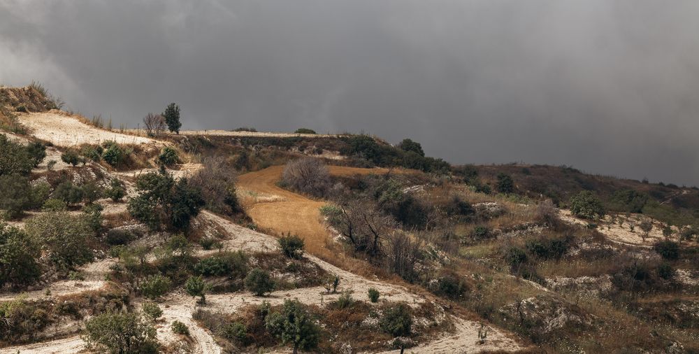 Photograph by  Дмитрий Михайлович