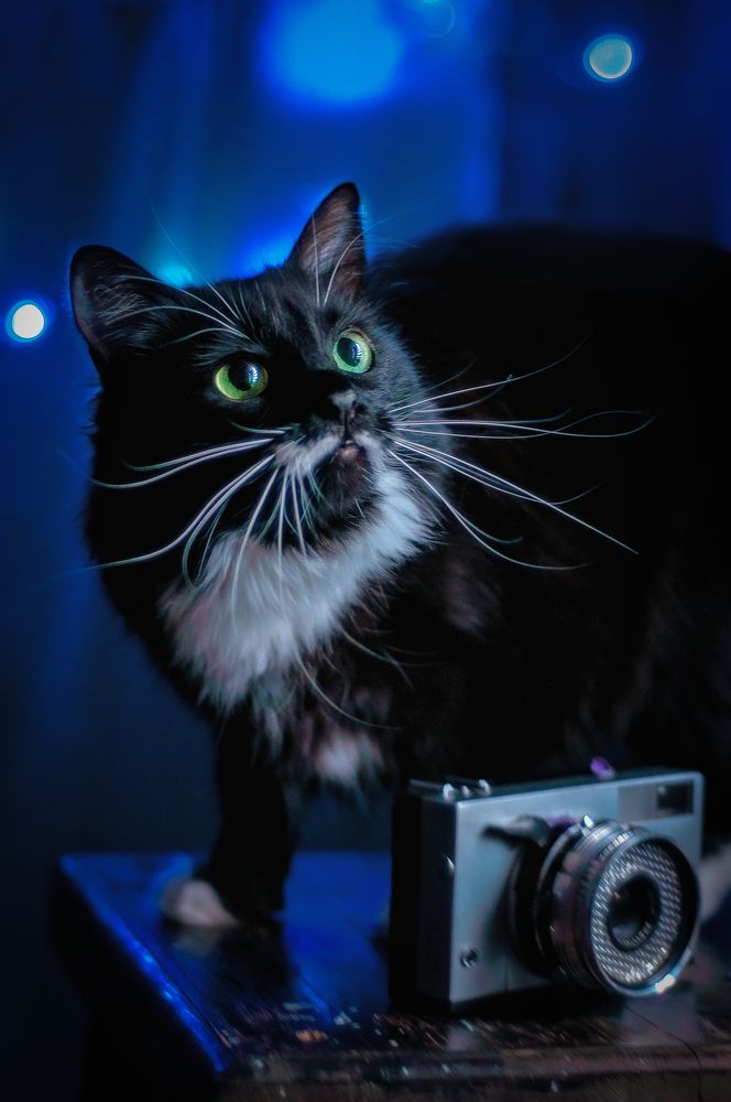 Photograph by Анна Орманжи