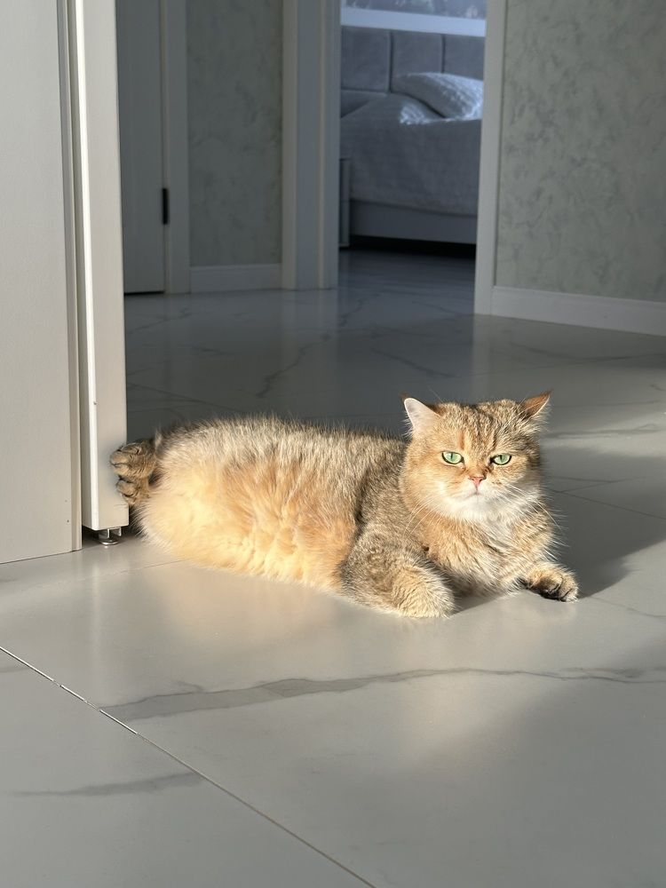 Photograph by Наталья Берон