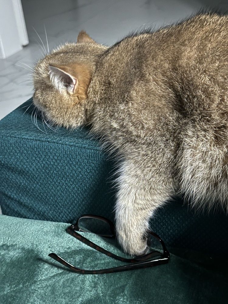 Photograph by Наталья Берон