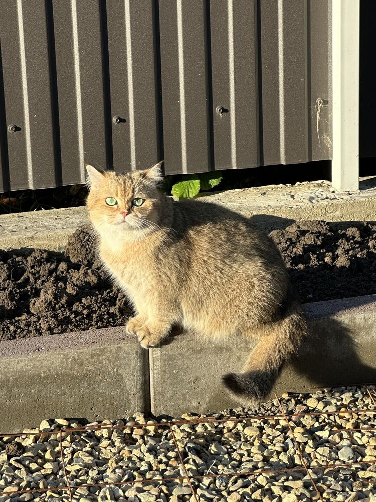 Photograph by Наталья Берон