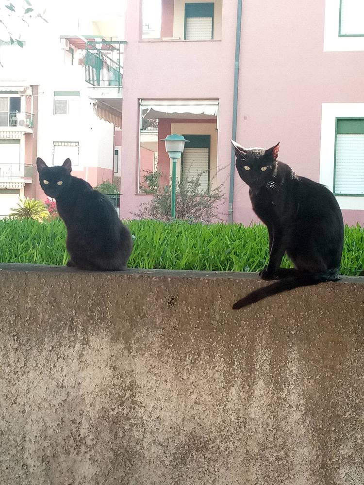 Photograph by Olga Kot