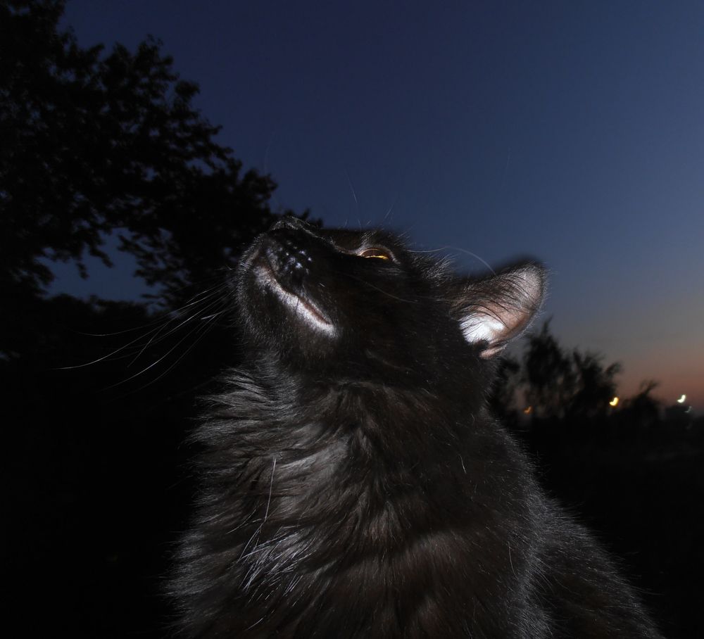 Photograph by Olga Kot