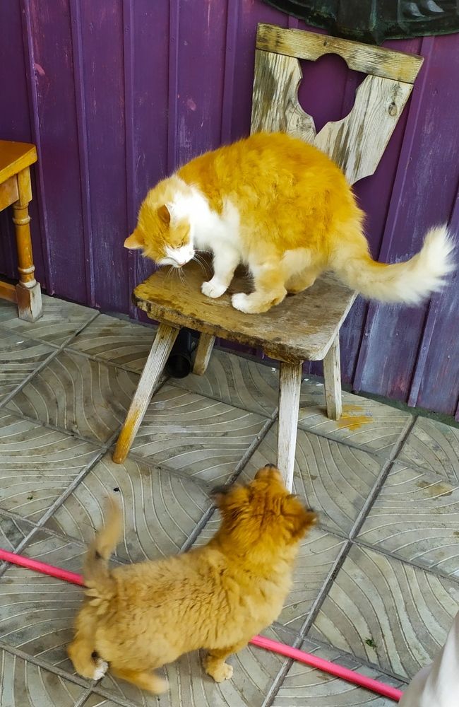 Photograph by Olga Kot