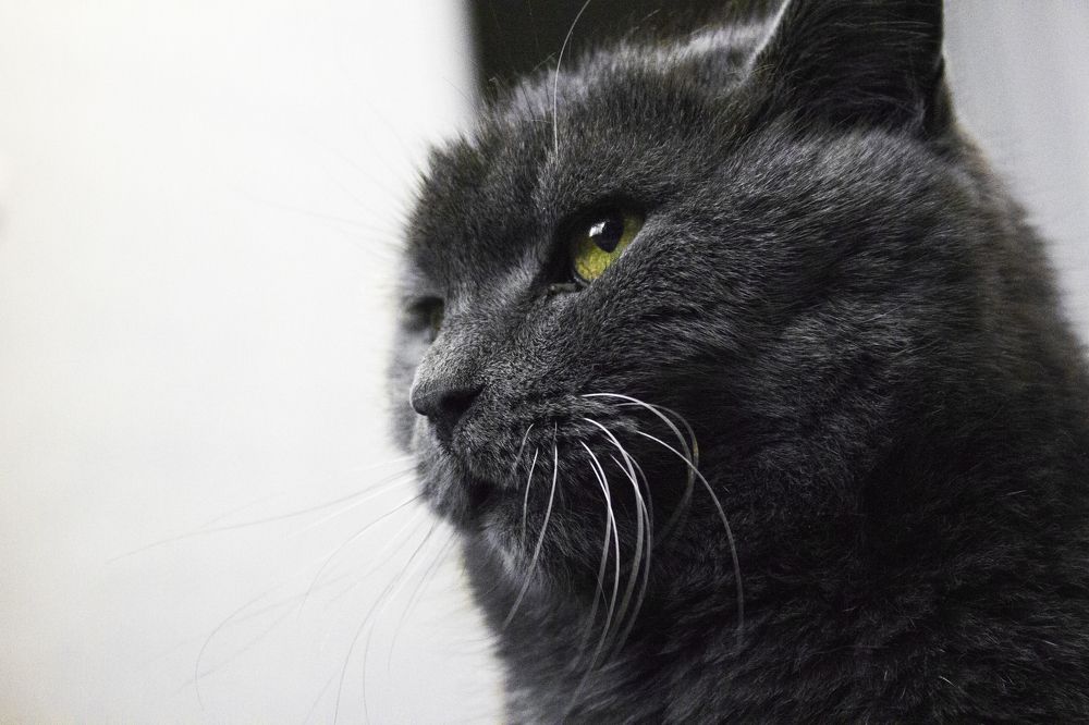 Photograph by Дарья Беляева