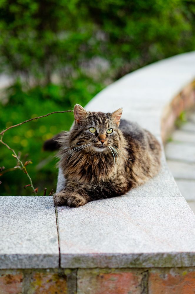 Photograph by Елена Осокина