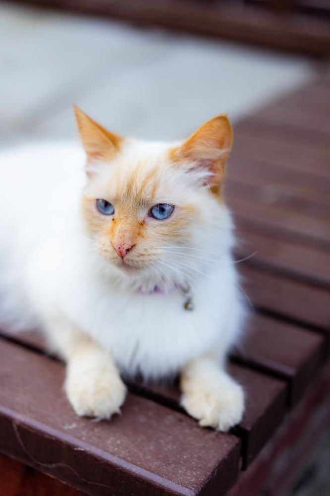 Photograph by Елена Осокина