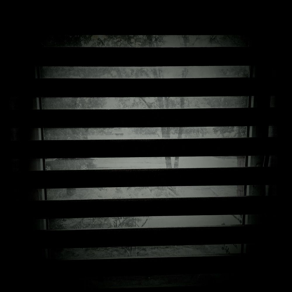 Фотография автора Maks Lanister