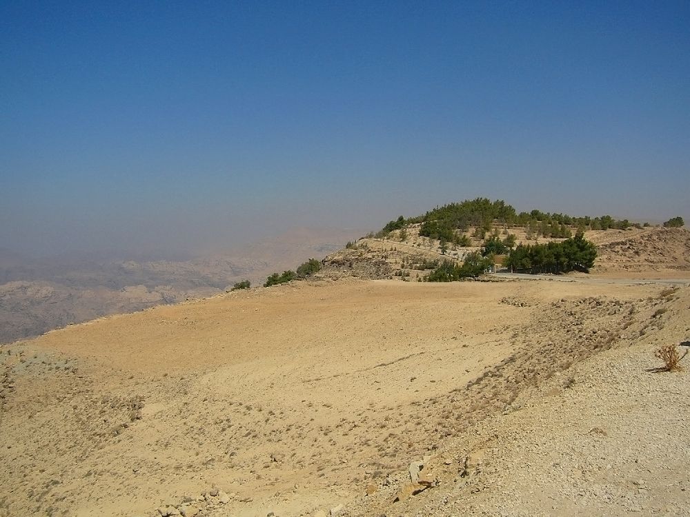 Photograph by Olga Kot