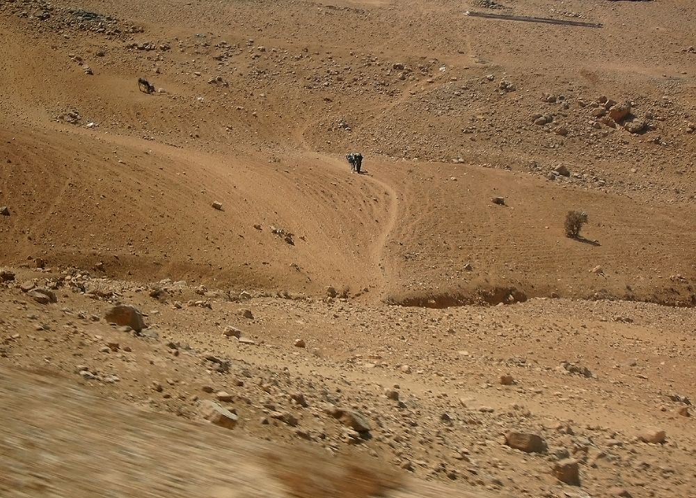 Photograph by Olga Kot