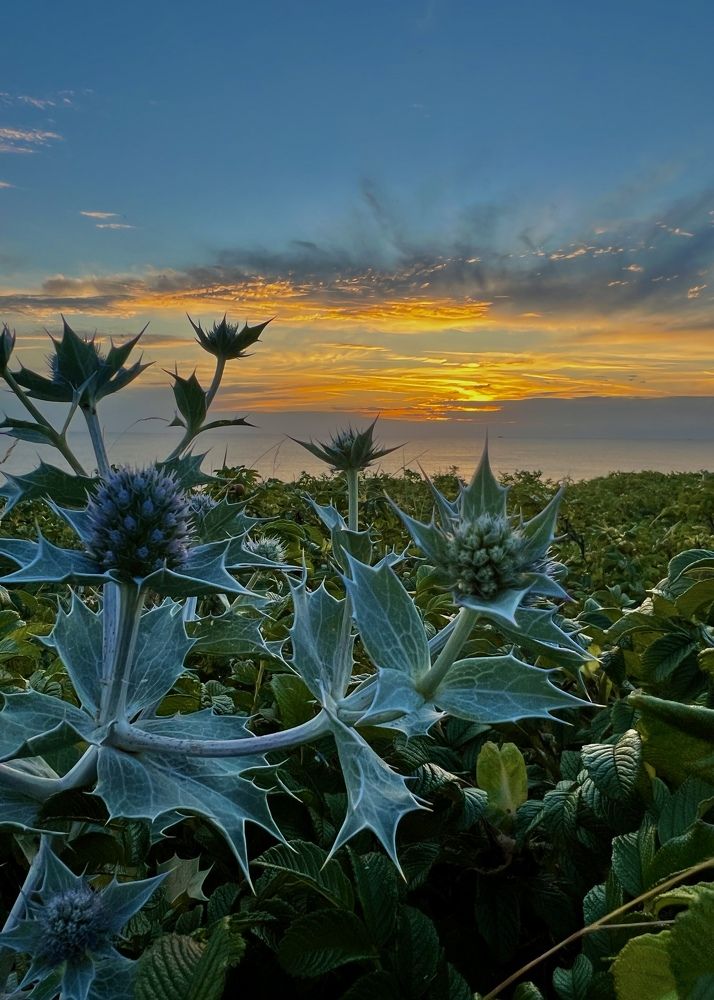 Photograph by Олеся Королева