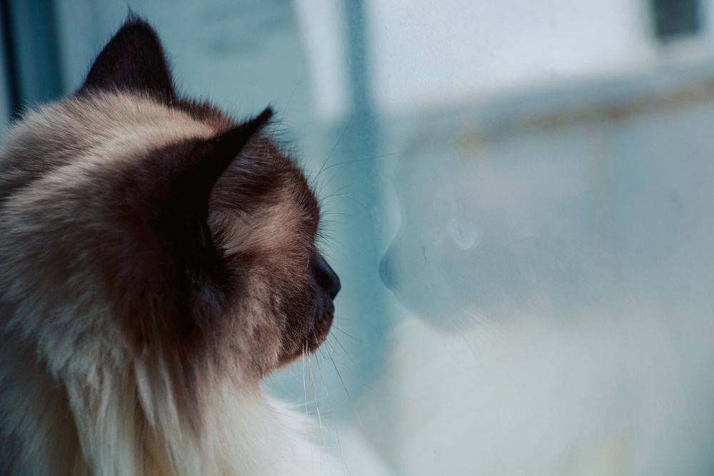 Фотография автора Настя Салтыкова