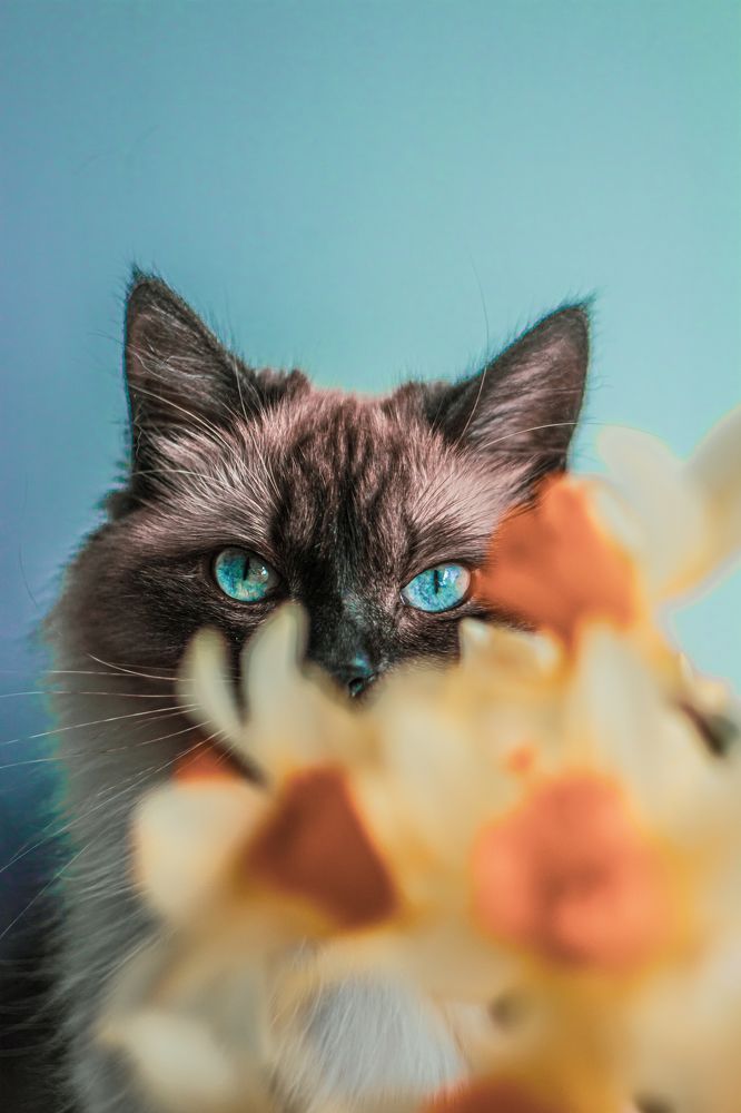 Фотография автора Настя Салтыкова