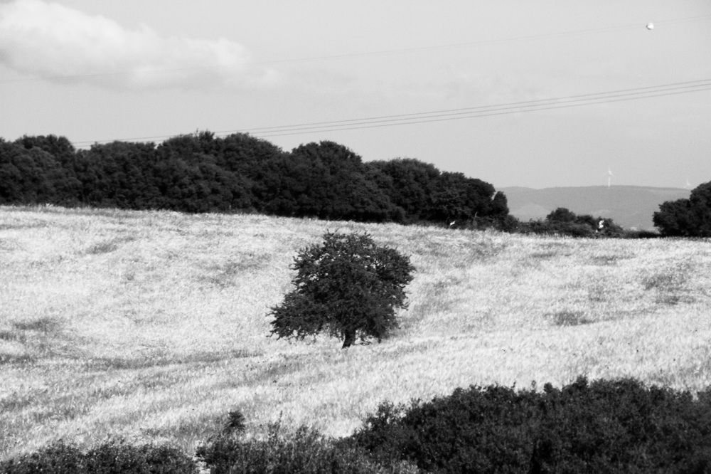 Photograph by Huseyin Mustafa Guvendag