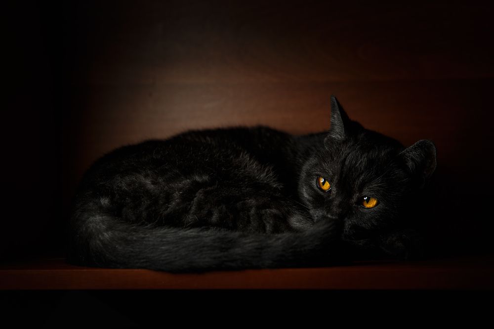 Photograph by Ольга Рябчикова