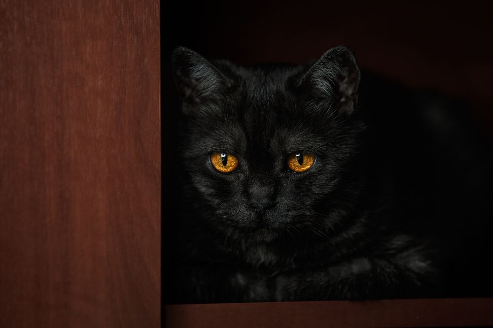 Photograph by Ольга Рябчикова