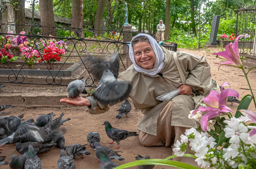 Photograph by Vladimir  Komarov