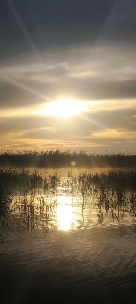 Photograph by Светлана