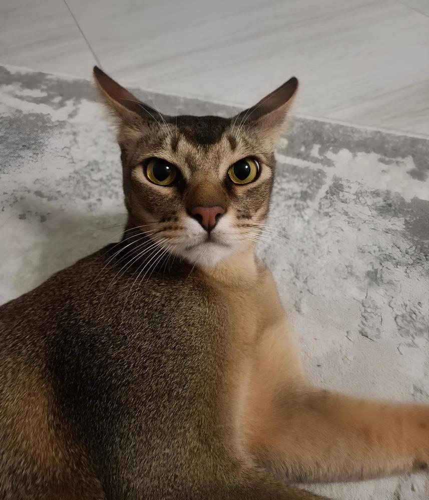 Photograph by Елена Сухорученкова