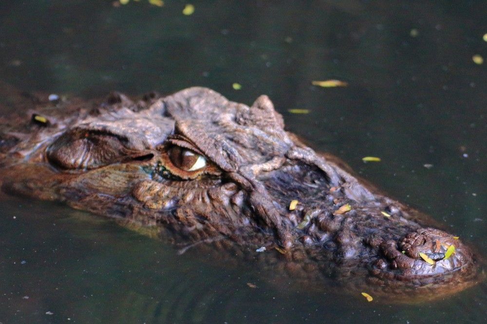 Photograph by Gr Marie