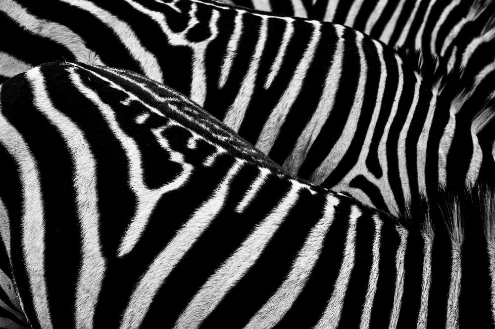 Photograph by Amanda Raymond