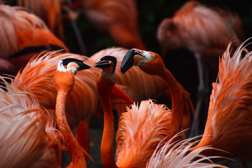 Photograph by Amanda Raymond