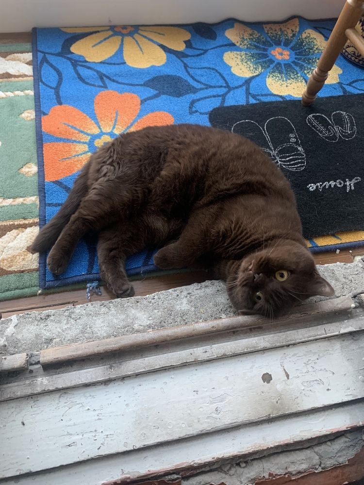 Photograph by Александра Акси