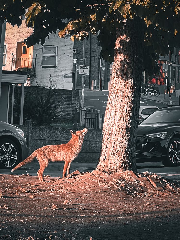 Photograph by Fotios Stamanikis