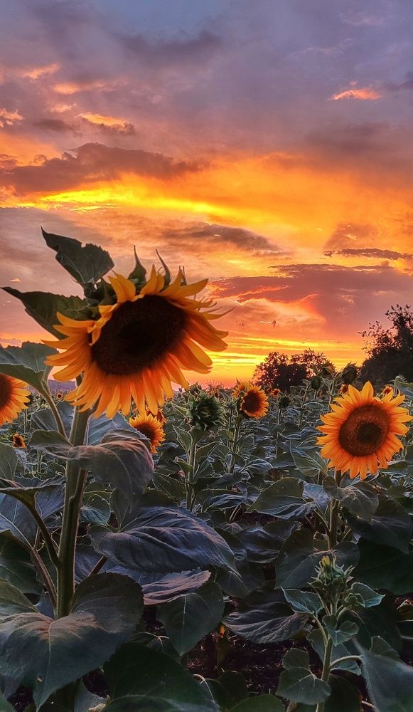 Photograph by Наталья Исиченко