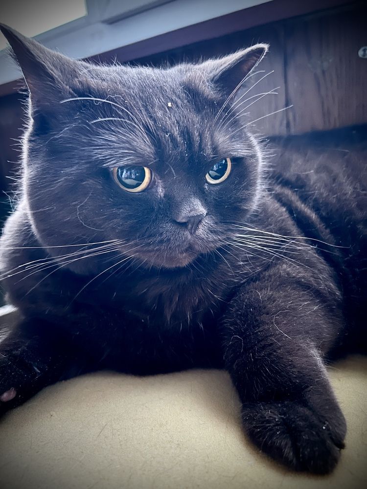 Photograph by Александра Акси