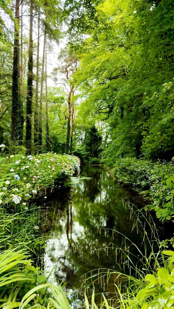 The Secret Garden