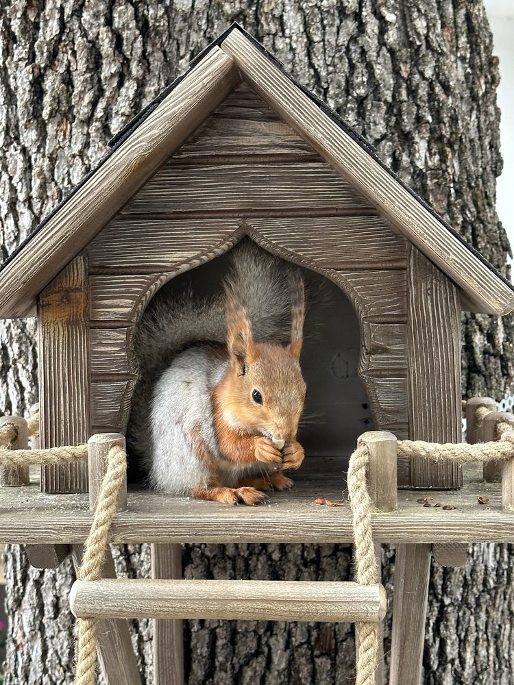 Photograph by Наталья Берон