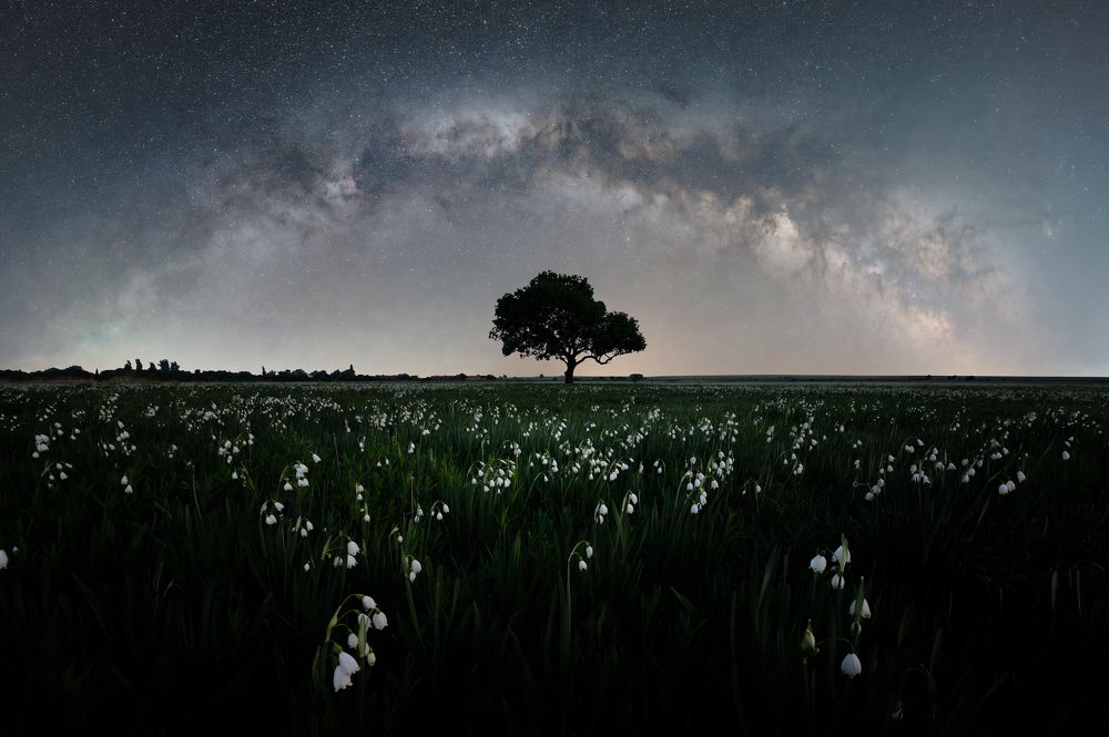 Photograph by Слави Заяков