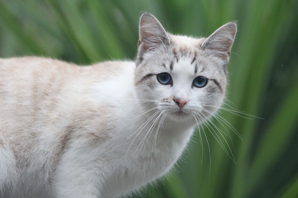 Photograph by Nadzeya