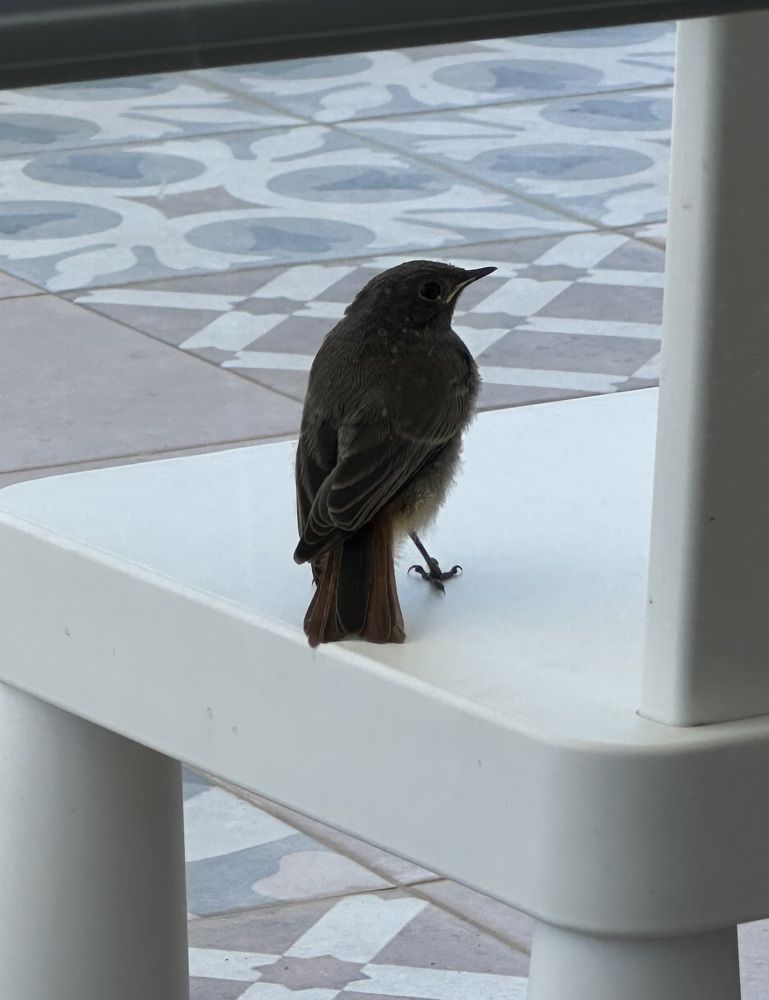 Photograph by Наталья Берон