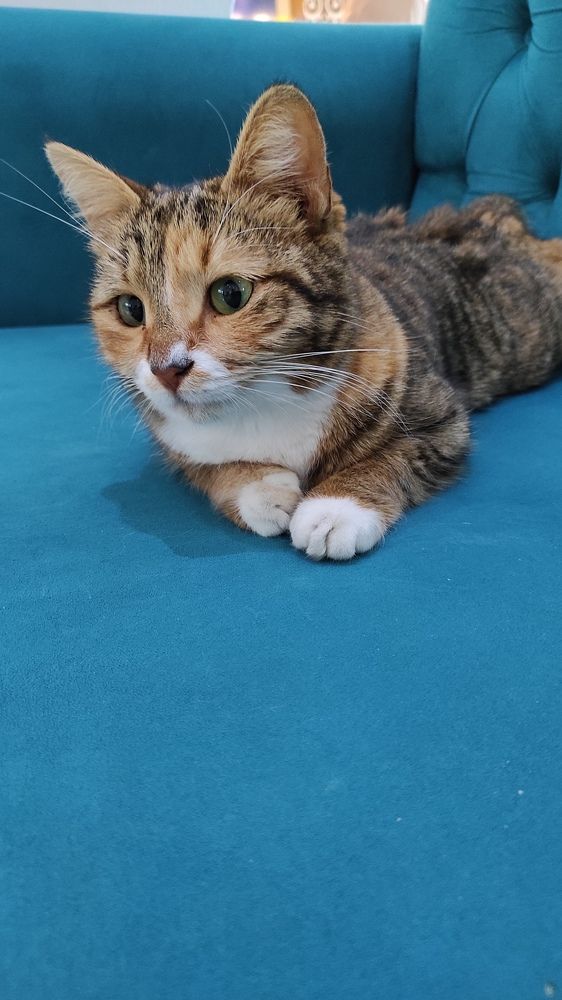 Photograph by Наталья Рау