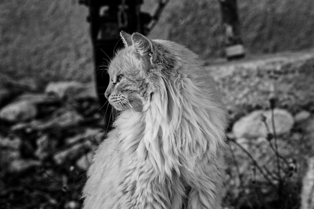 Photograph by Efi Laskari