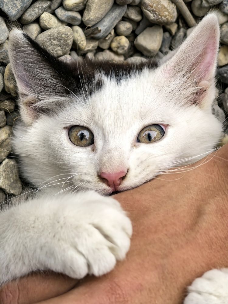 Photograph by Анна Епанчинцева