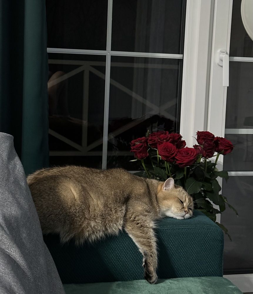 Photograph by Наталья Берон