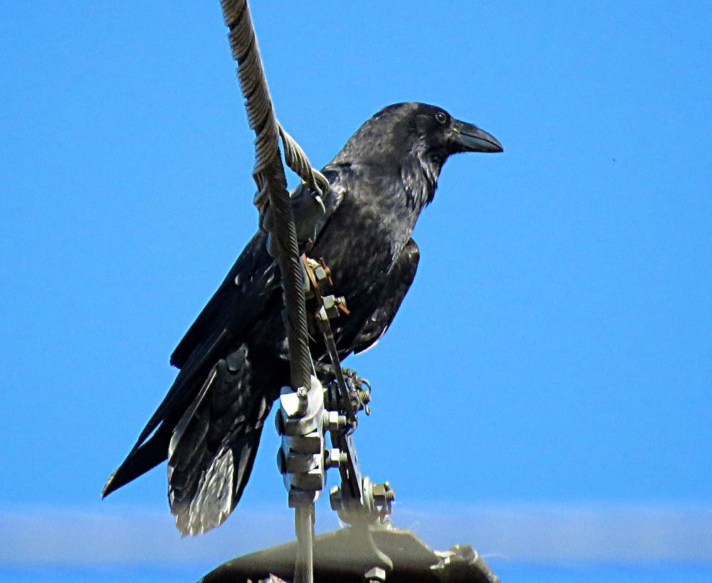 Photograph by Галина Пименова