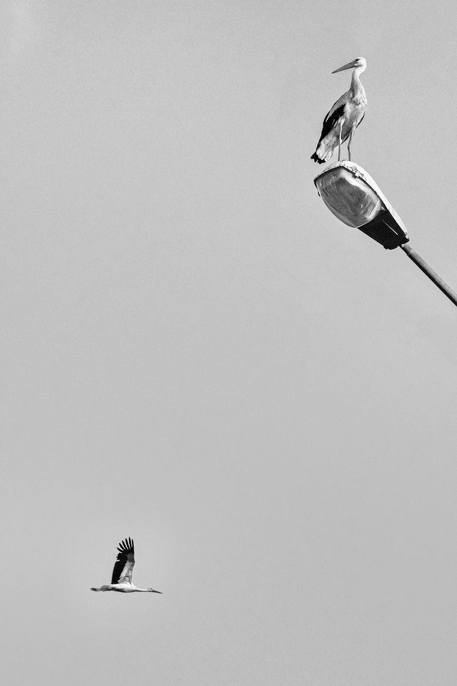 Photograph by Бахтадзе Дмитрий