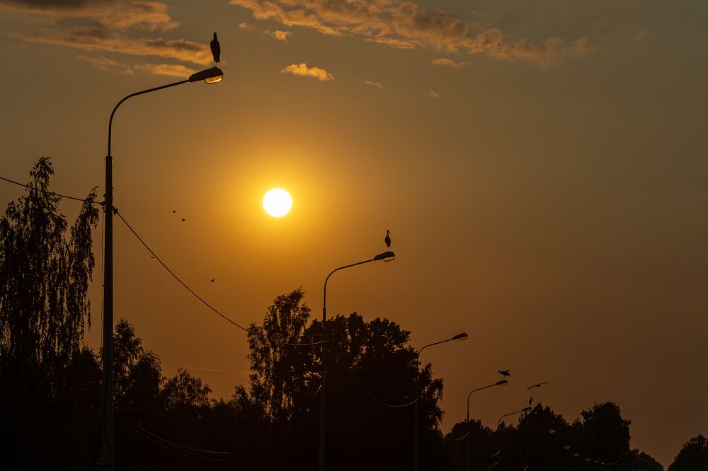 Photograph by Бахтадзе Дмитрий