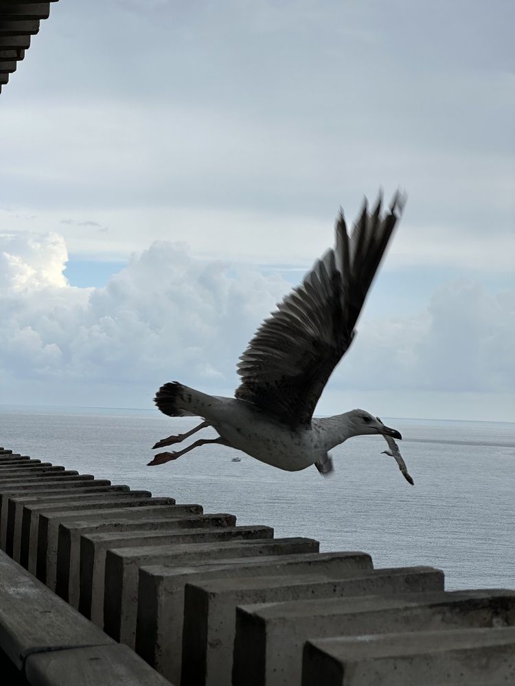 Photograph by Наталья Берон